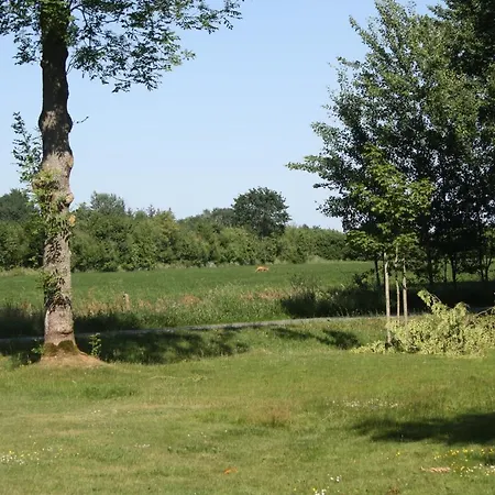 Detjens